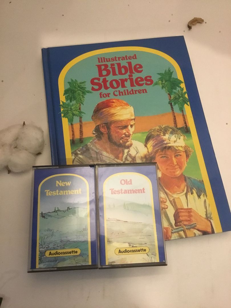 Illustrated Bible Stories for Children