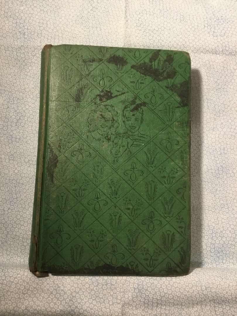 The Bobbsey Twins ar Cherry Corners