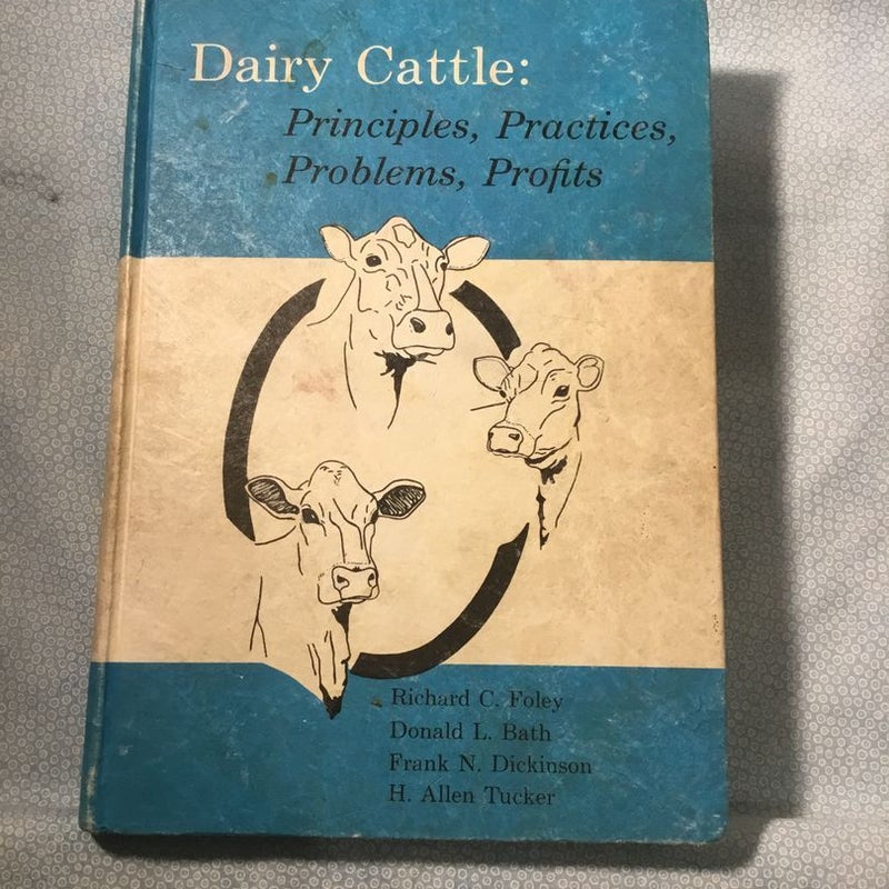 Dairy Cattle