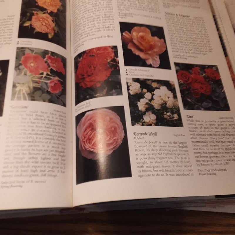 The Ultimate Rose Book
