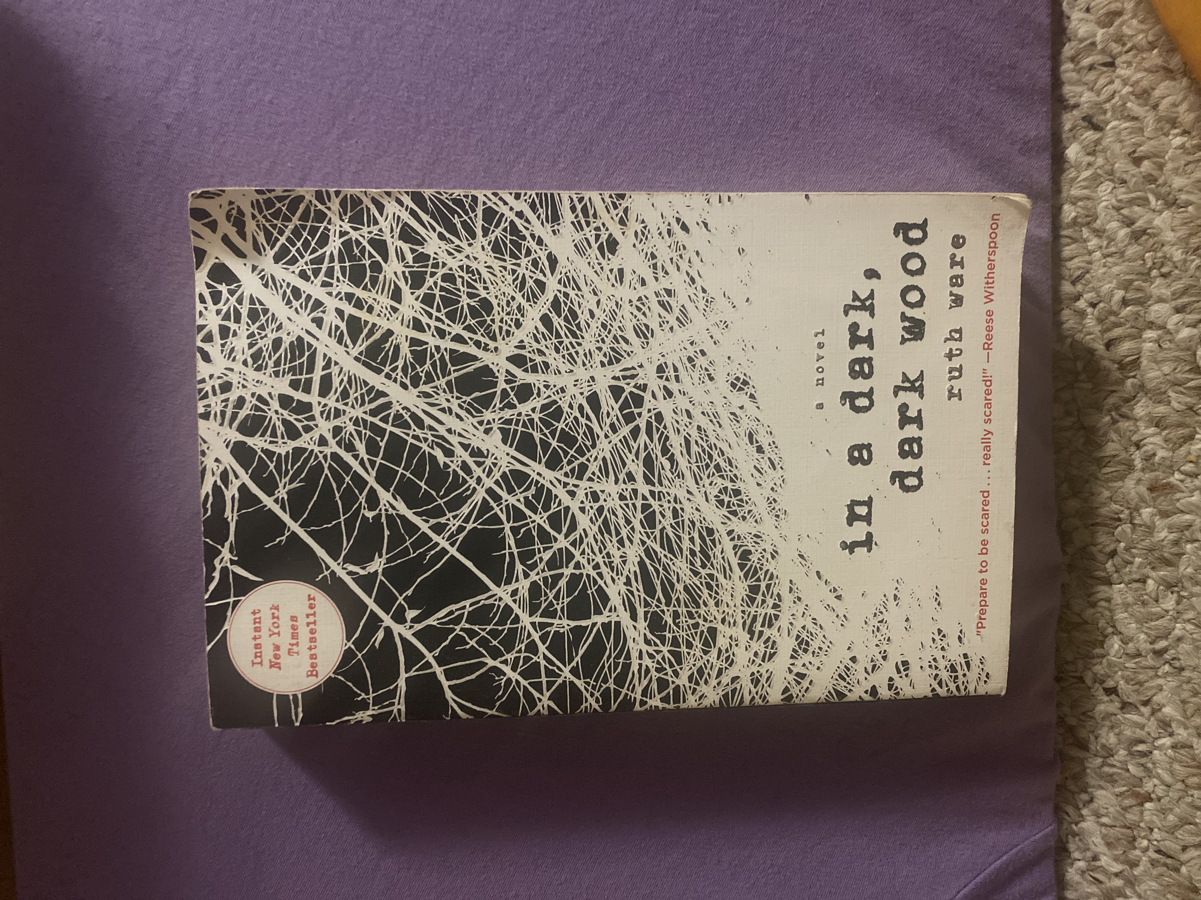 In a Dark, Dark Wood