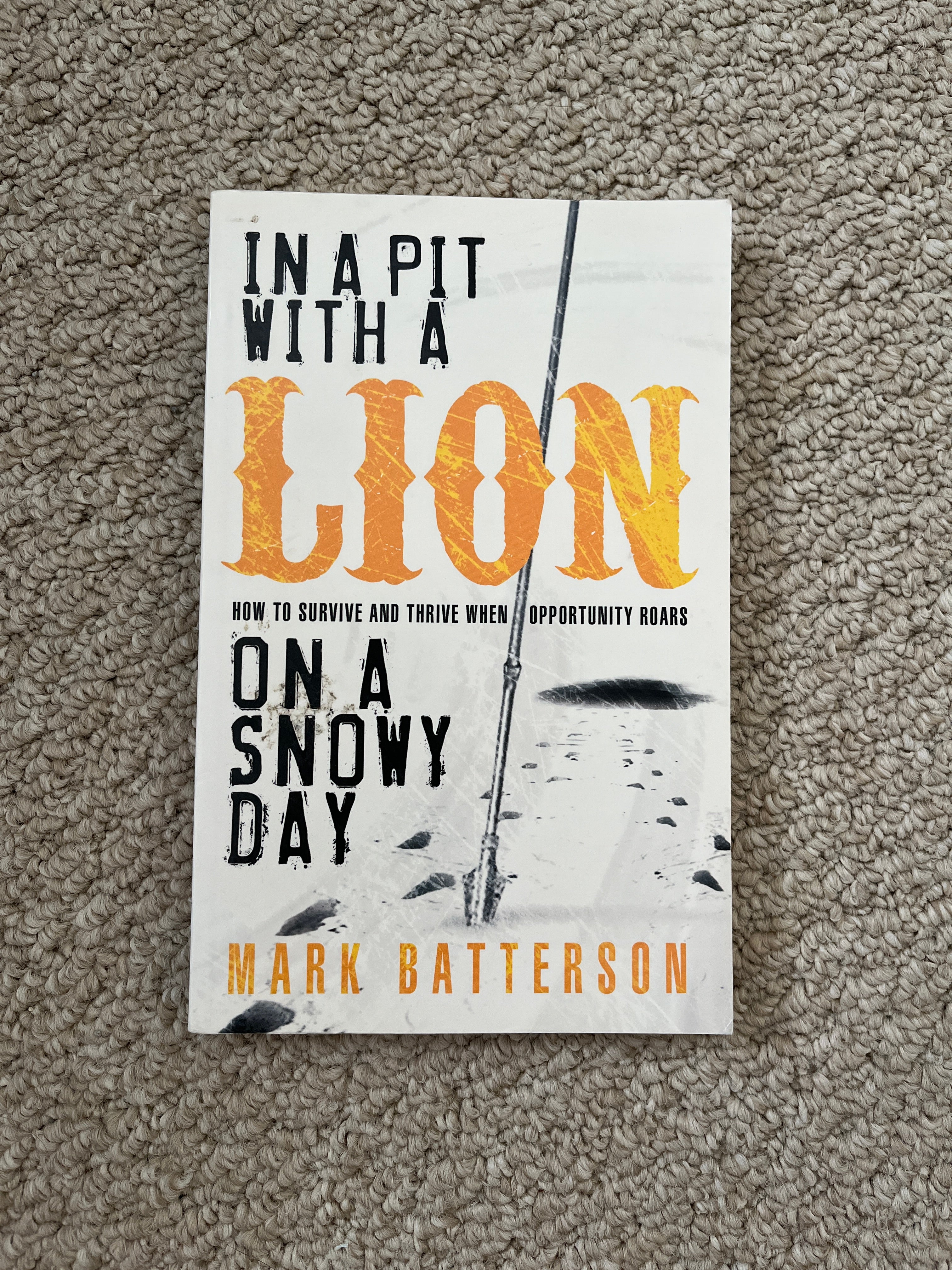 In a Pit with a Lion on a Snowy Day