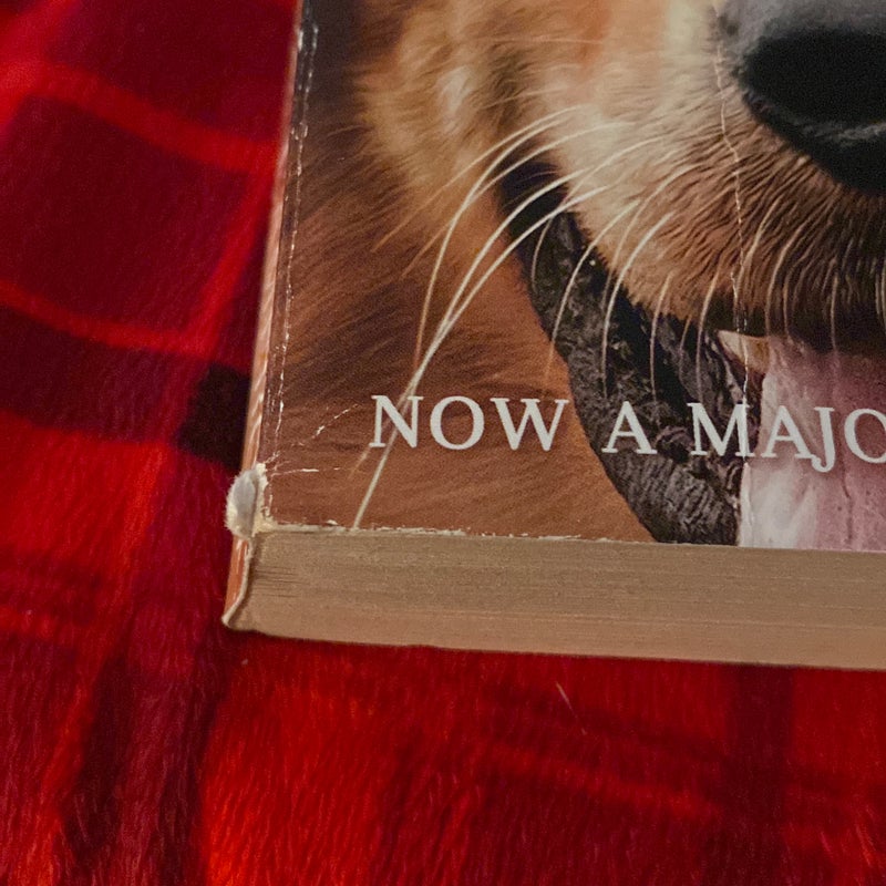 A Dog's Purpose