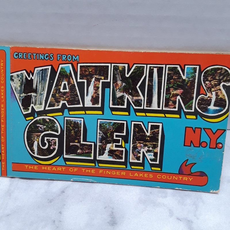 Watkins Glen NY postcard book