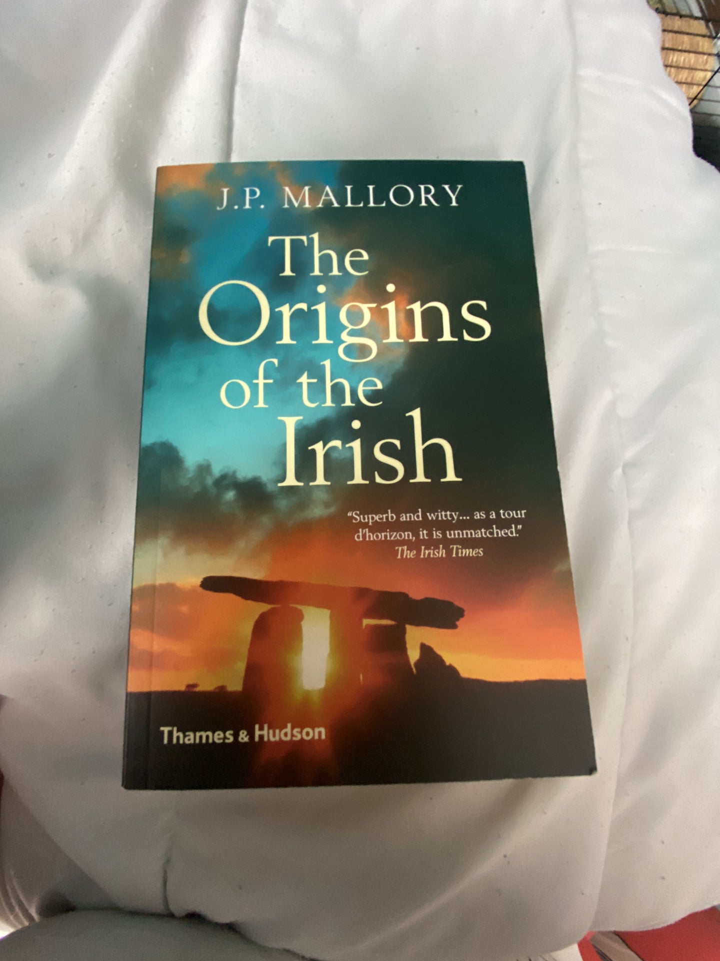 The Origins of the Irish