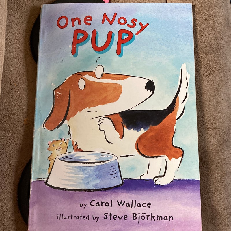 One Nosy Pup
