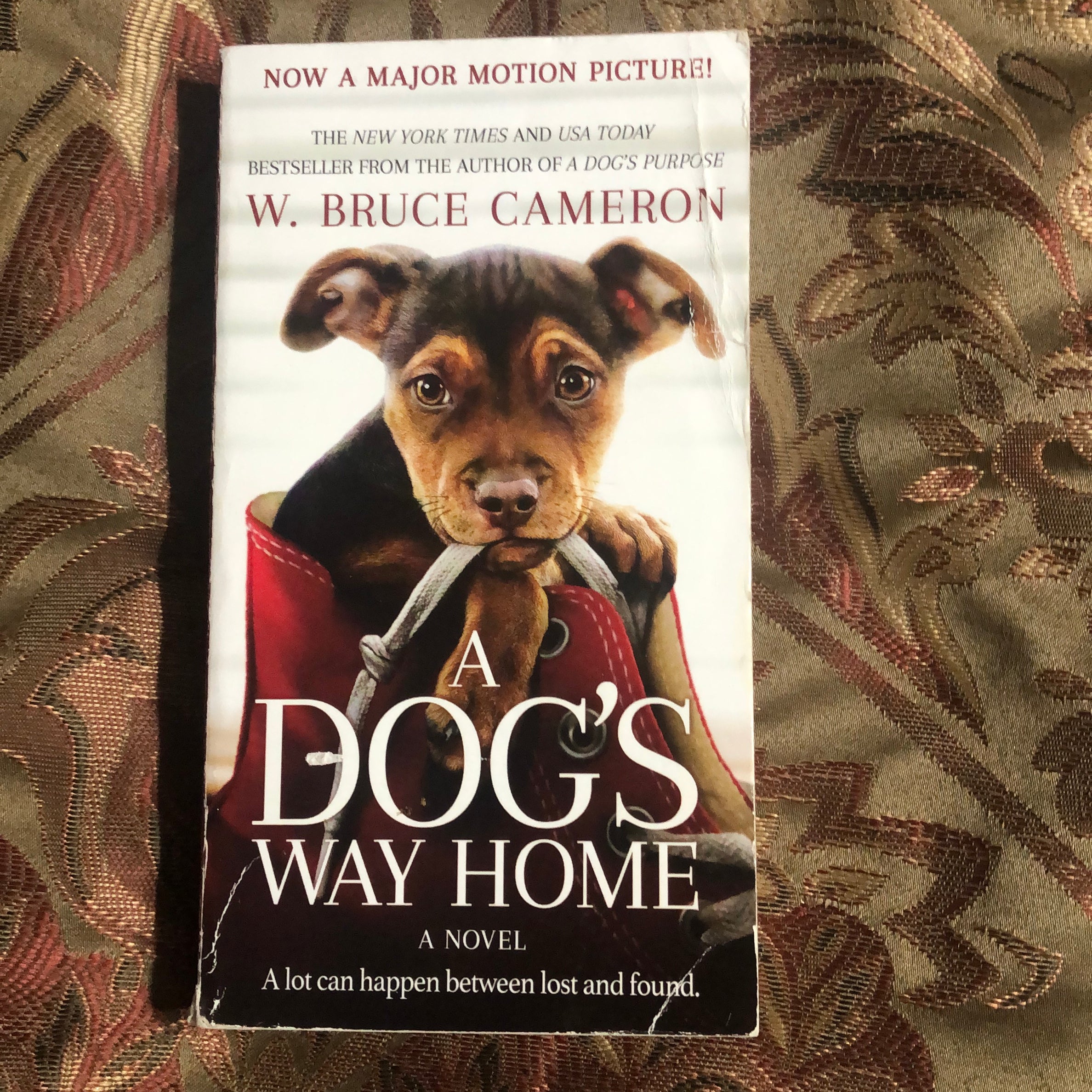 A Dog's Way Home Movie Tie-In