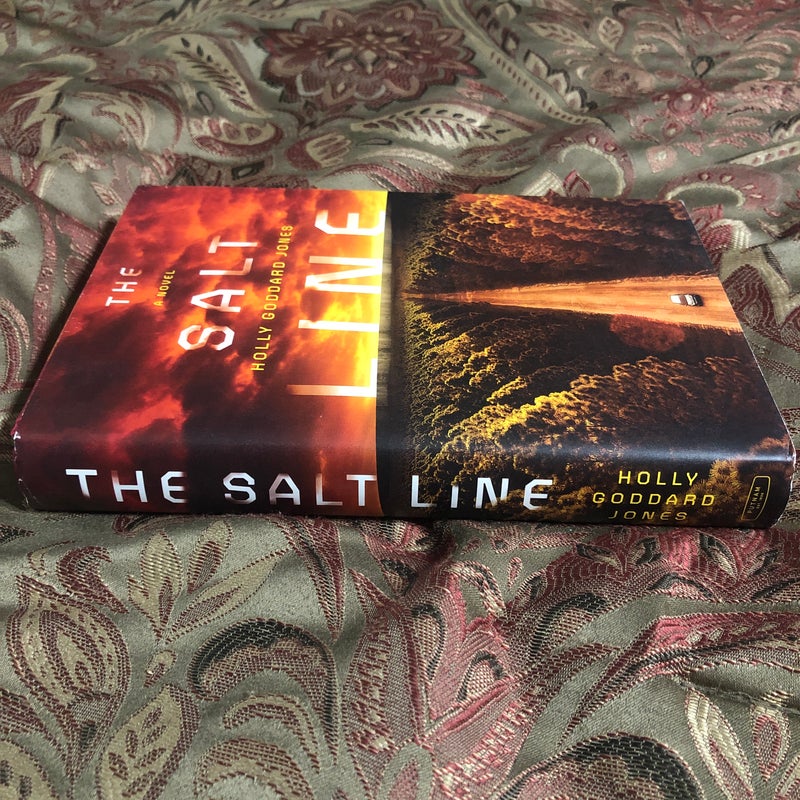 The Salt Line