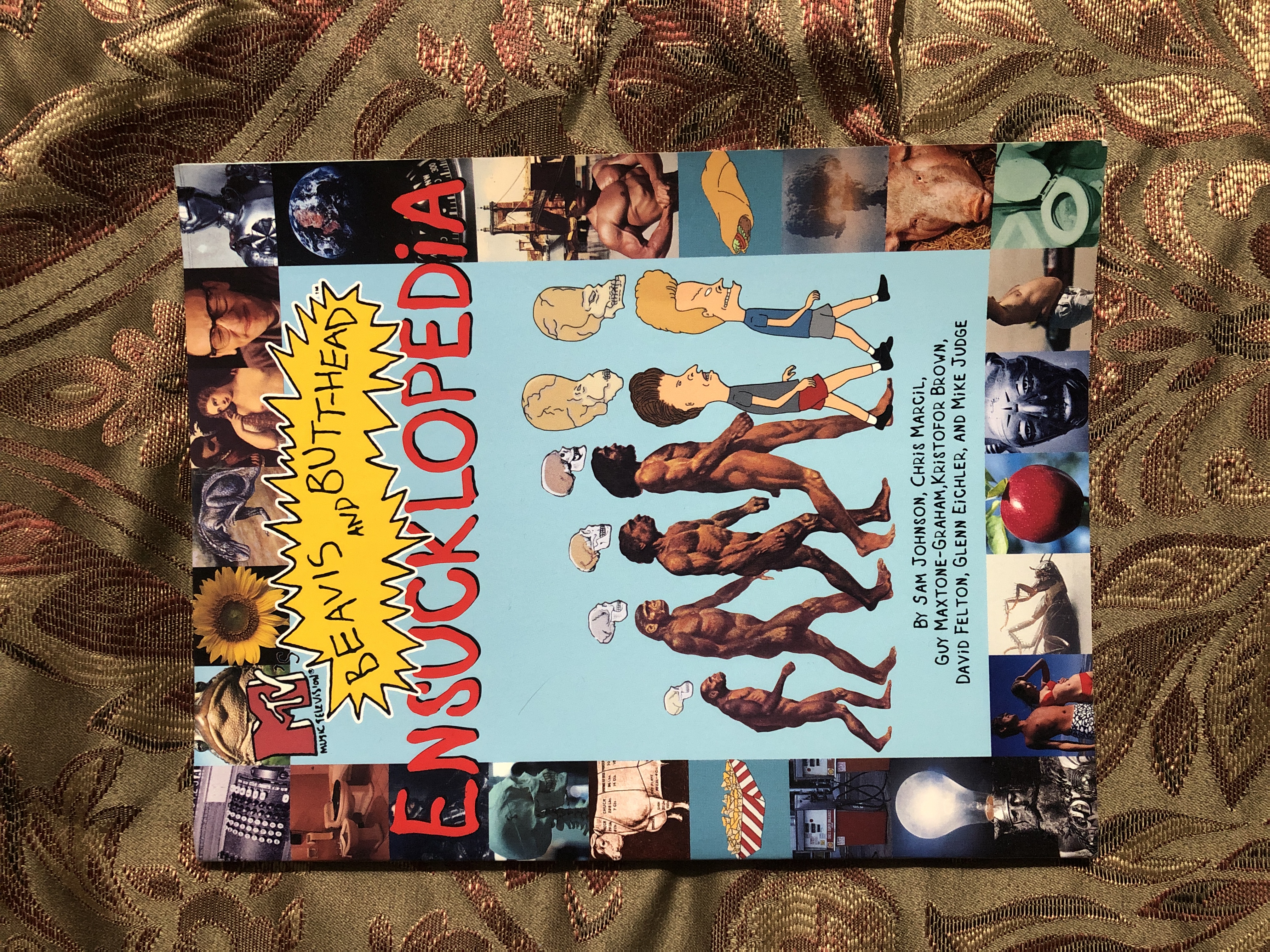 洋書 BEAVIS AND BUTT-HEAD READING SUCKS Reading Sucks: The Collected Works Beavis and Butt-Head: Judge