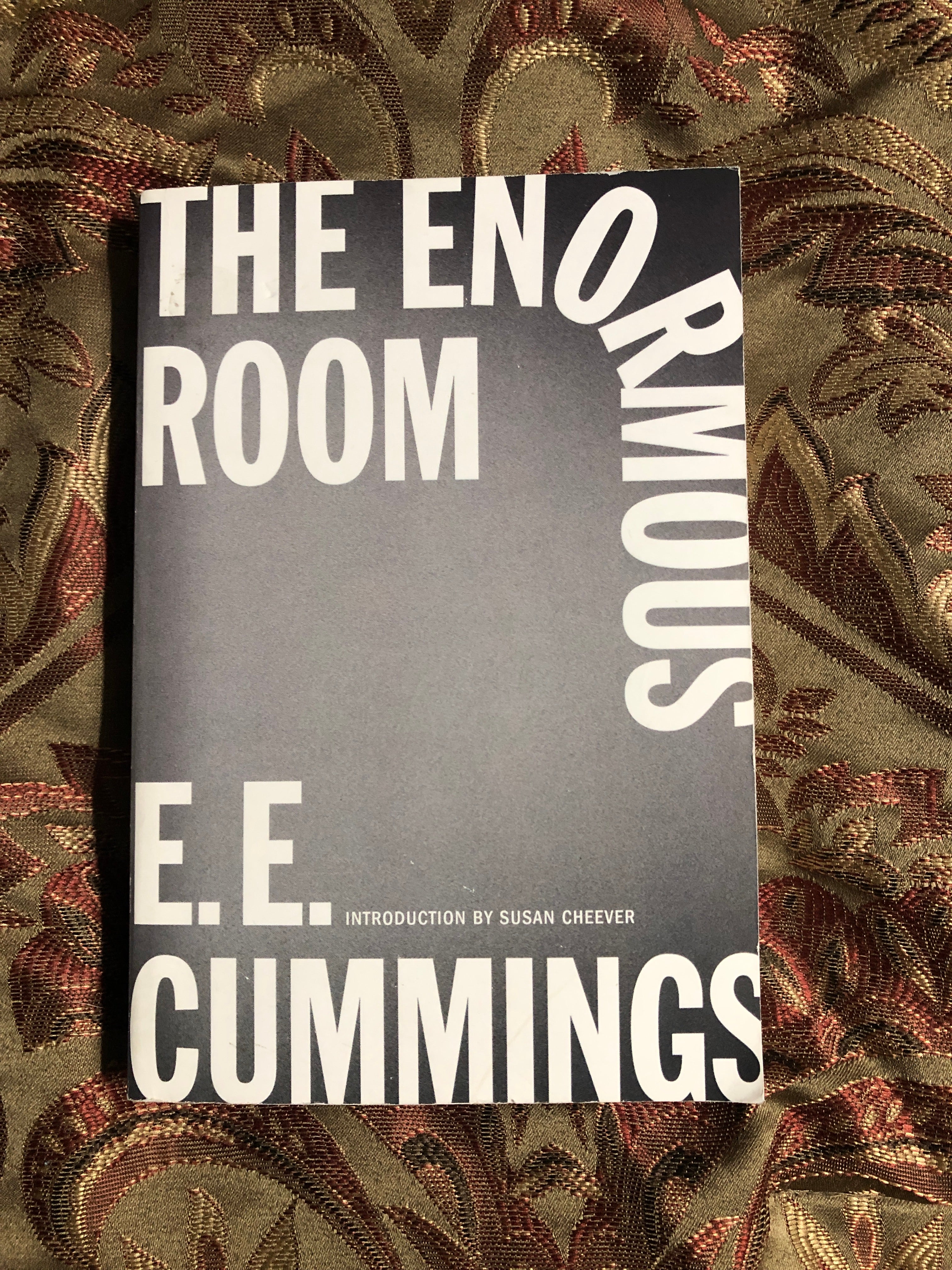 The Enormous Room