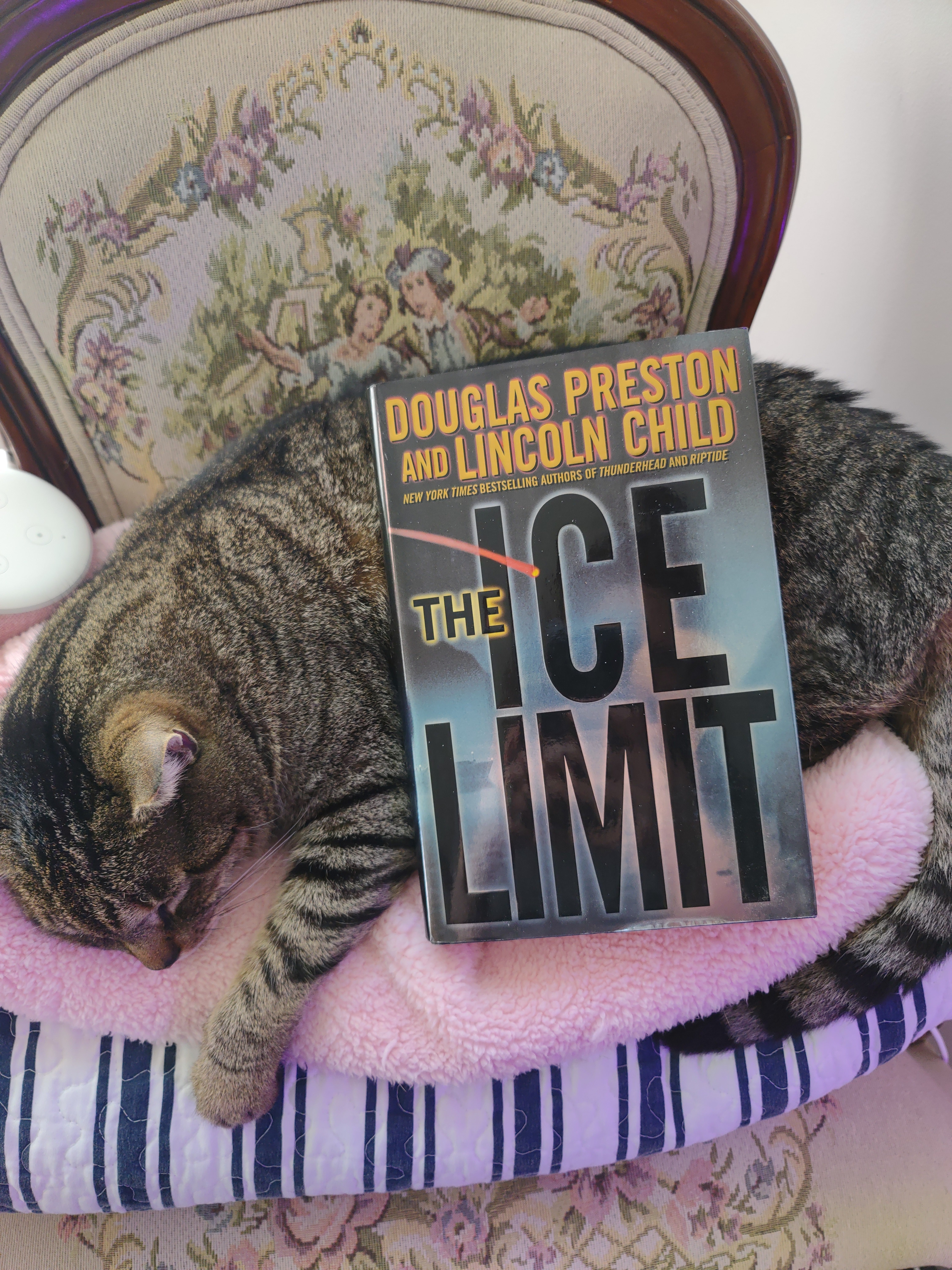 The Ice Limit