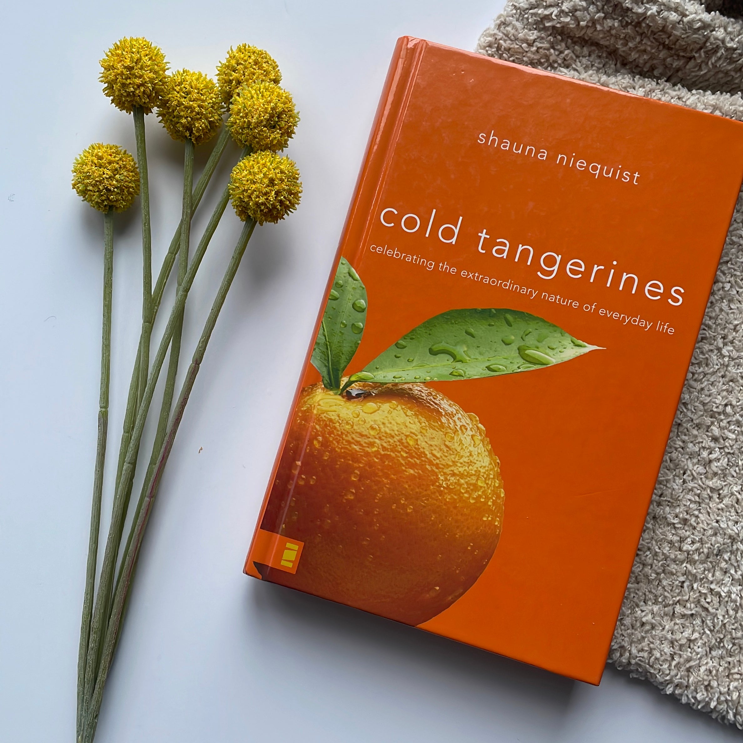 Cold Tangerines