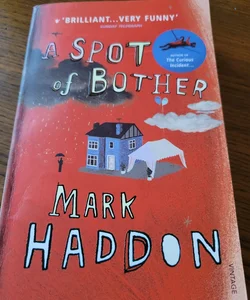 A Spot Of bother. Mark Haddon