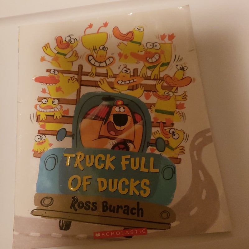 Truck Full of Ducks