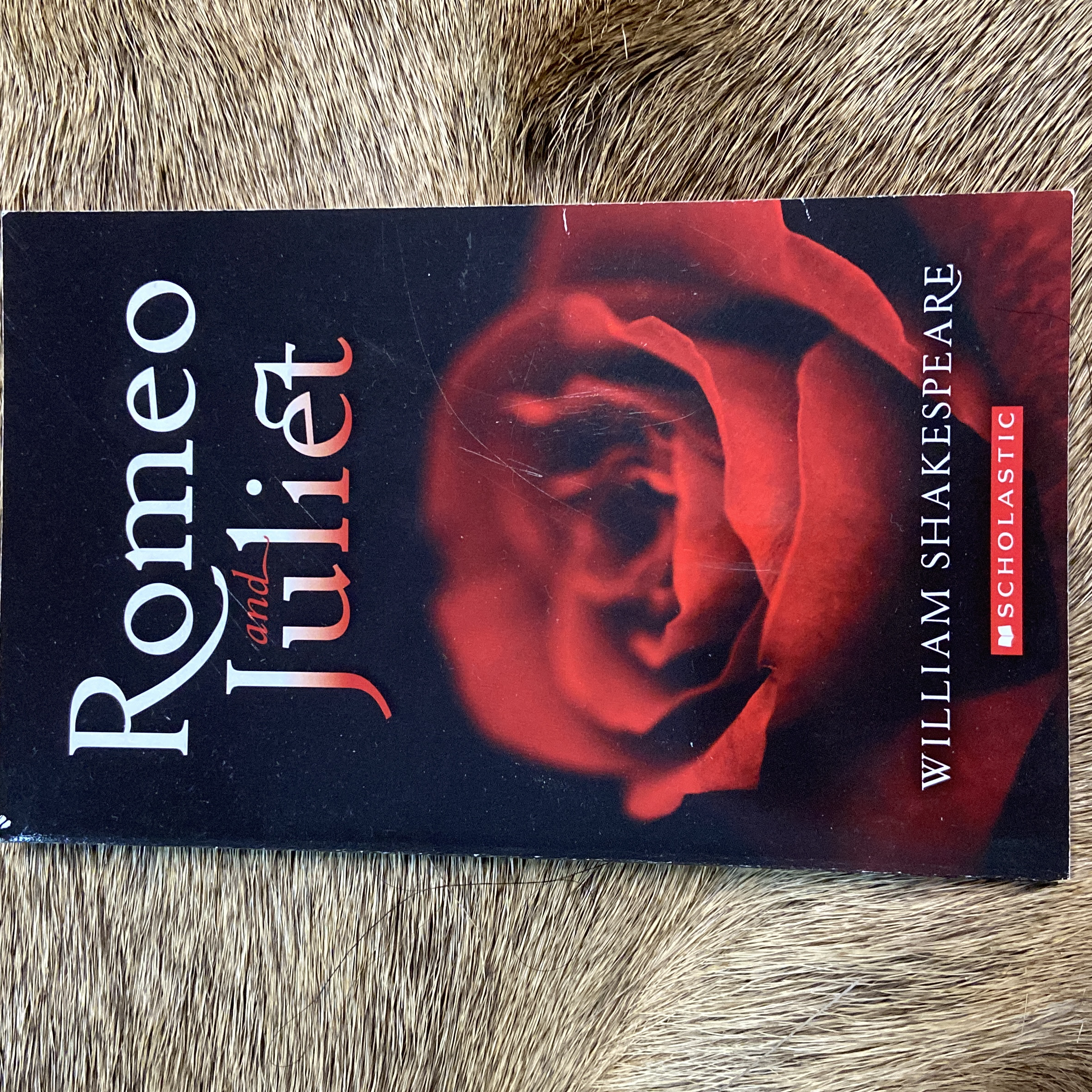 9780590975988 book cover