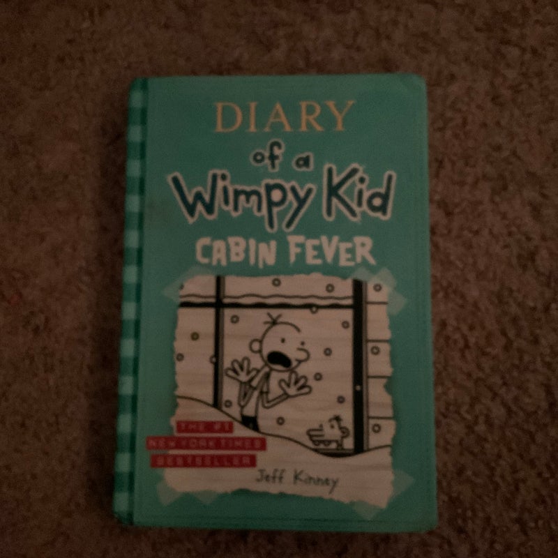 Diary of a Wimpy Kid # 6