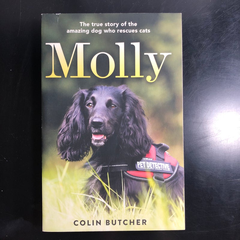 Molly: the True Story of the Amazing Dog Who Rescues Cats