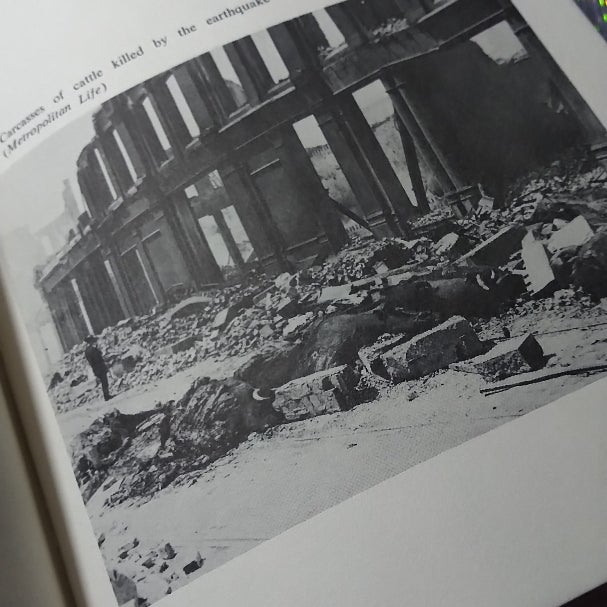 THE SAN FRANCISCO EARTHQUAKE