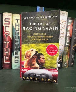 The Art of Racing in the Rain Movie Tie-In Edition