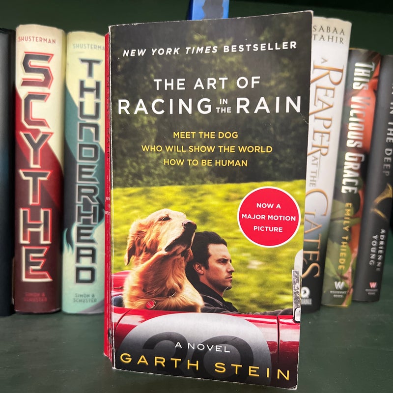 The Art of Racing in the Rain Movie Tie-In Edition