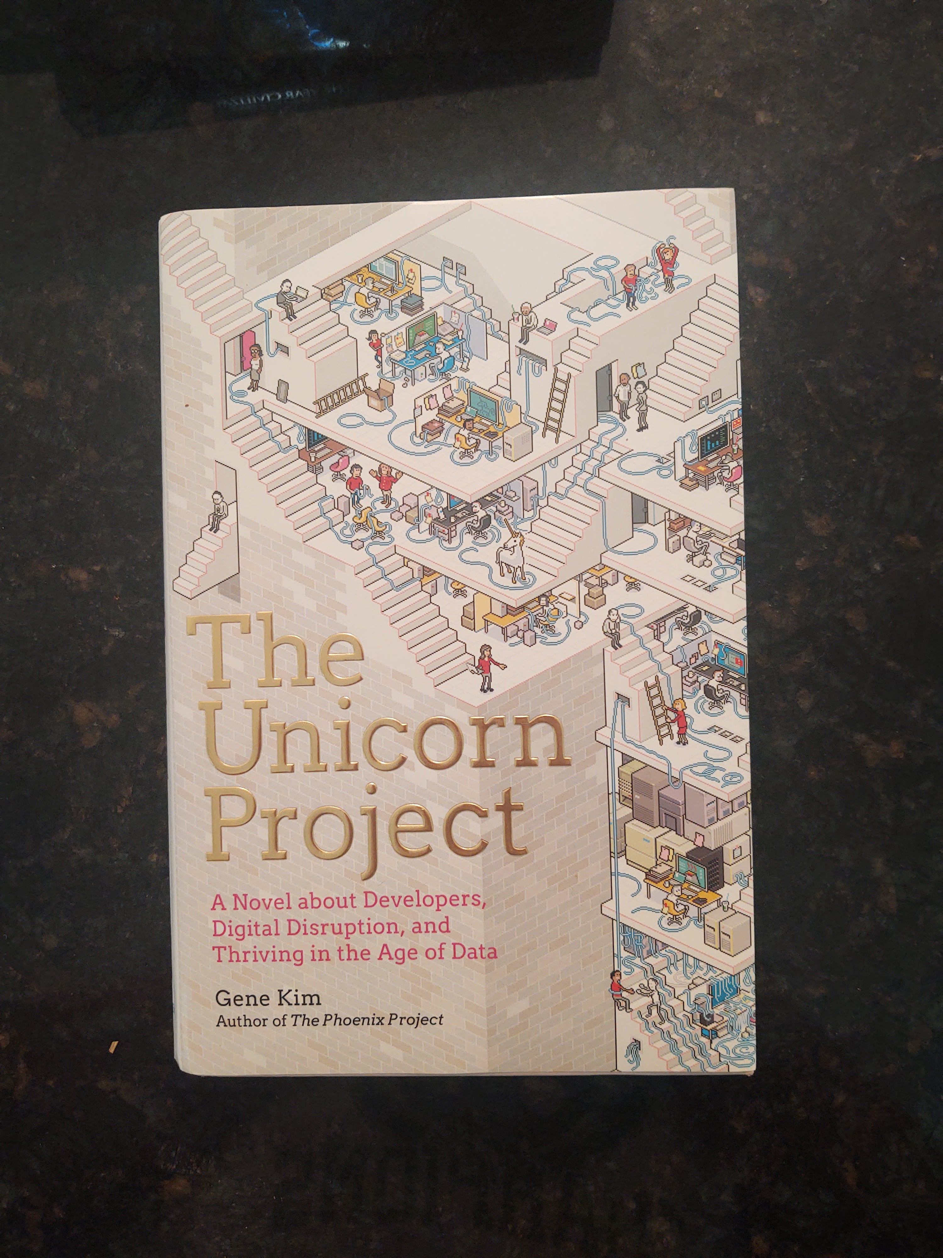 The Unicorn Project