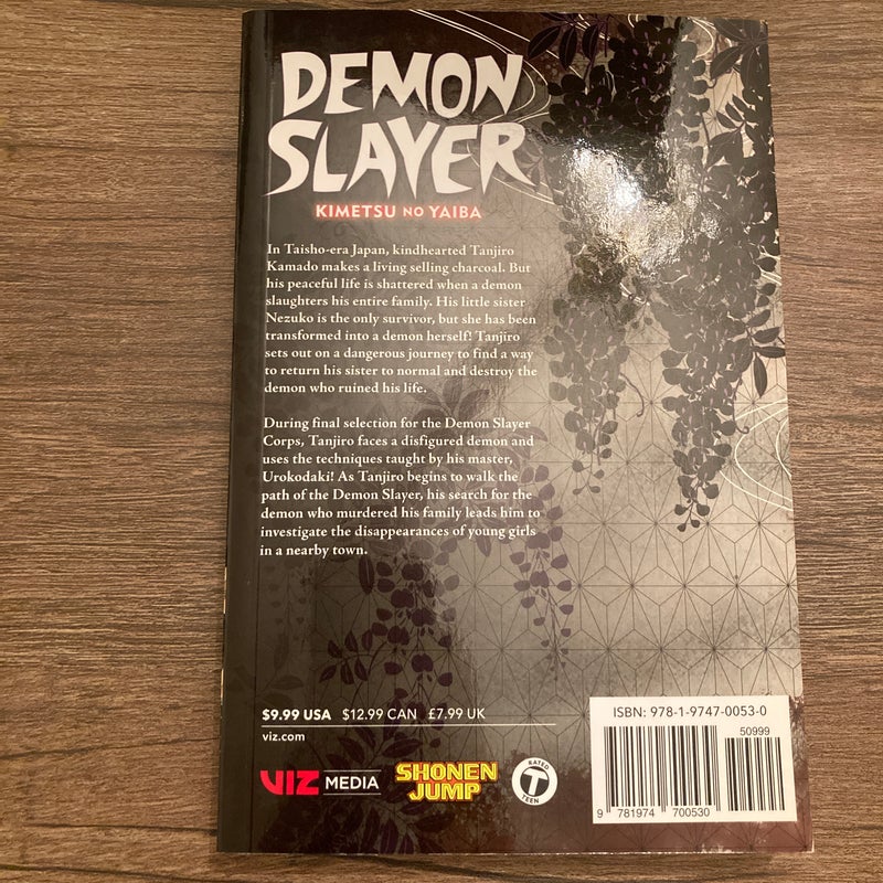 Demon Slayer: Kimetsu No Yaiba, Vol. 2