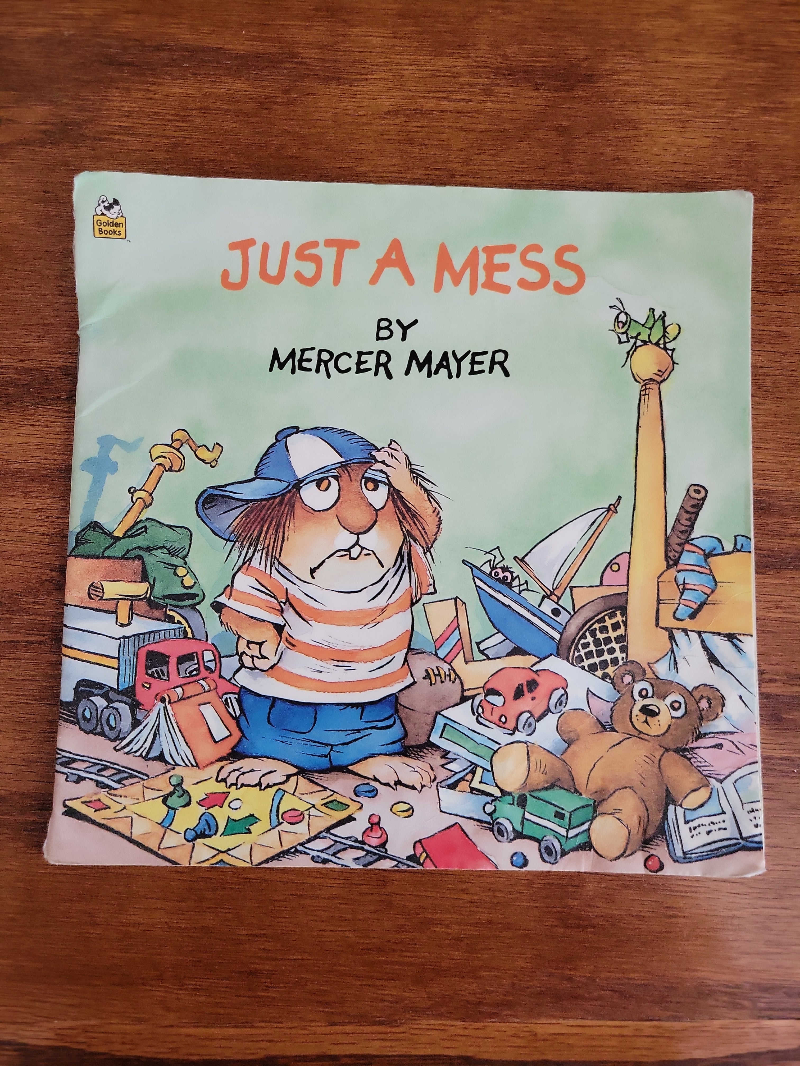 Just a Mess (Little Critter)