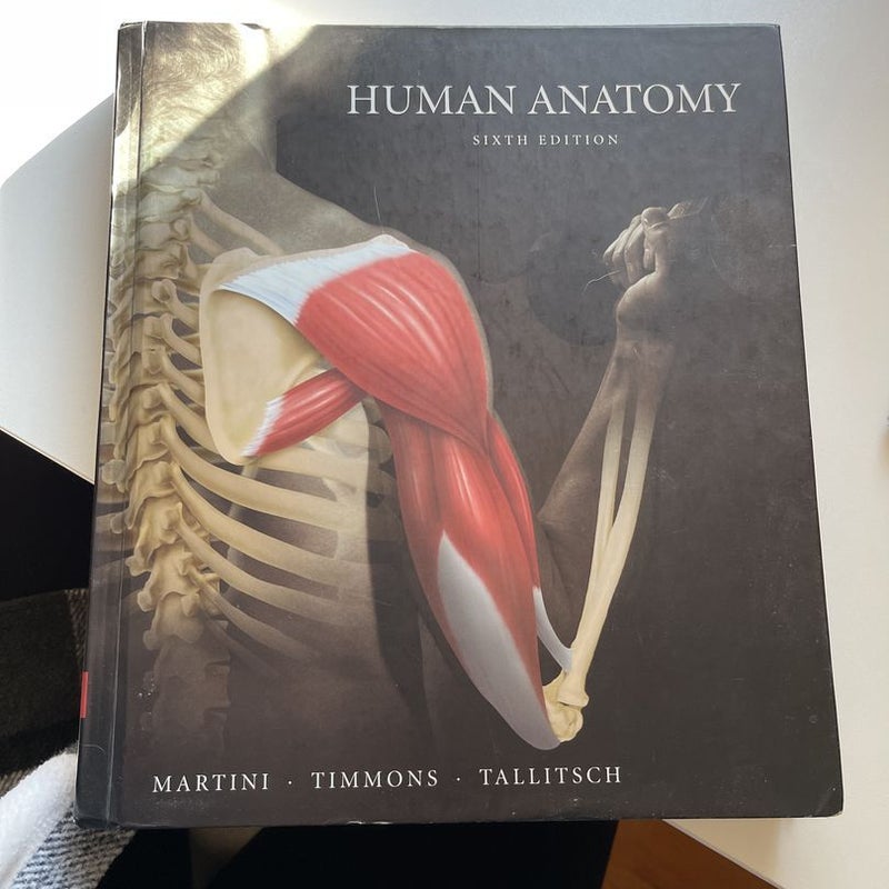 Human Anatomy