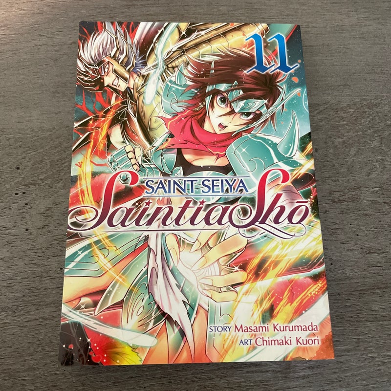 Saint Seiya: Saintia Sho Vol. 11