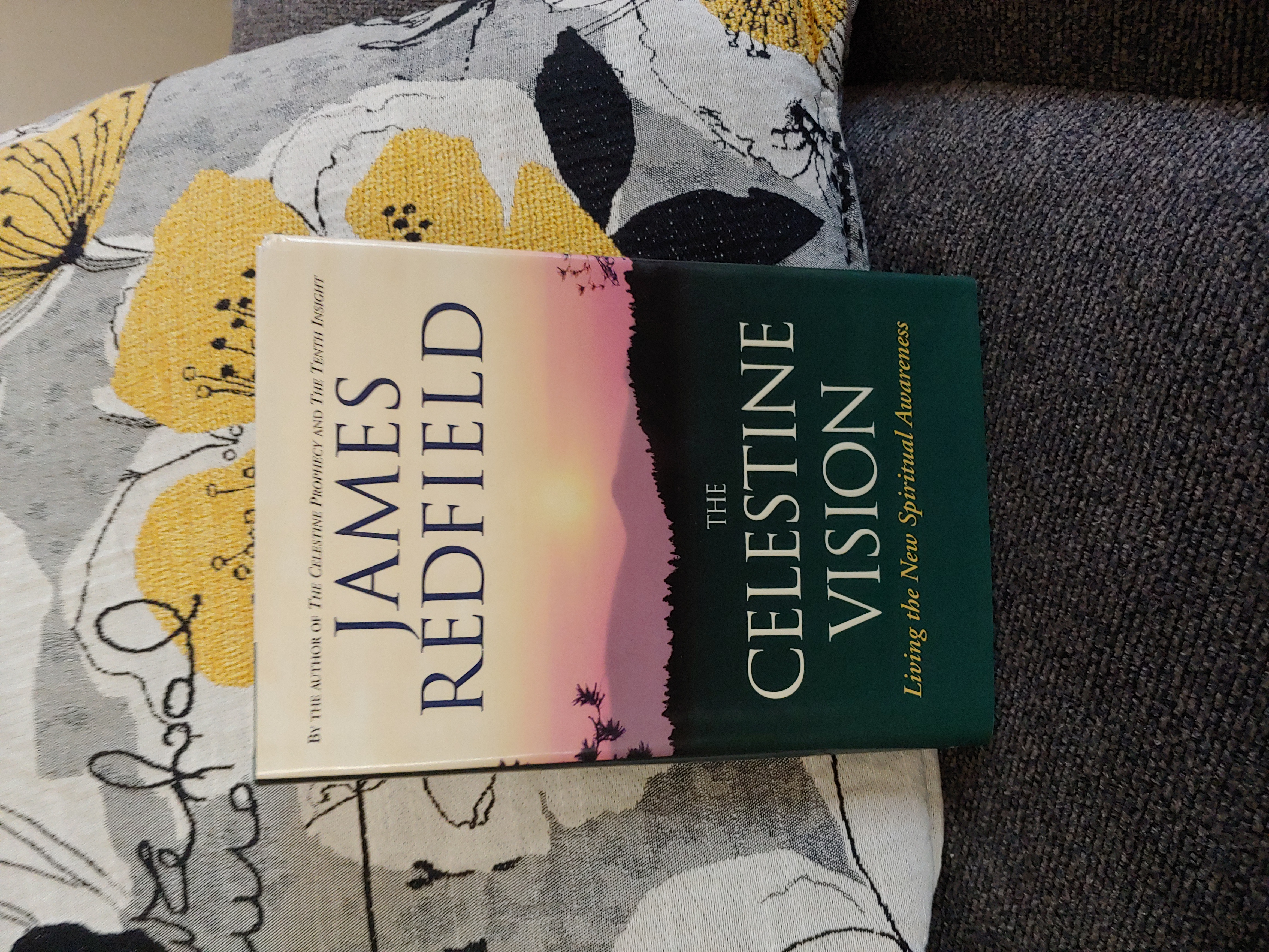 The Celestine Vision