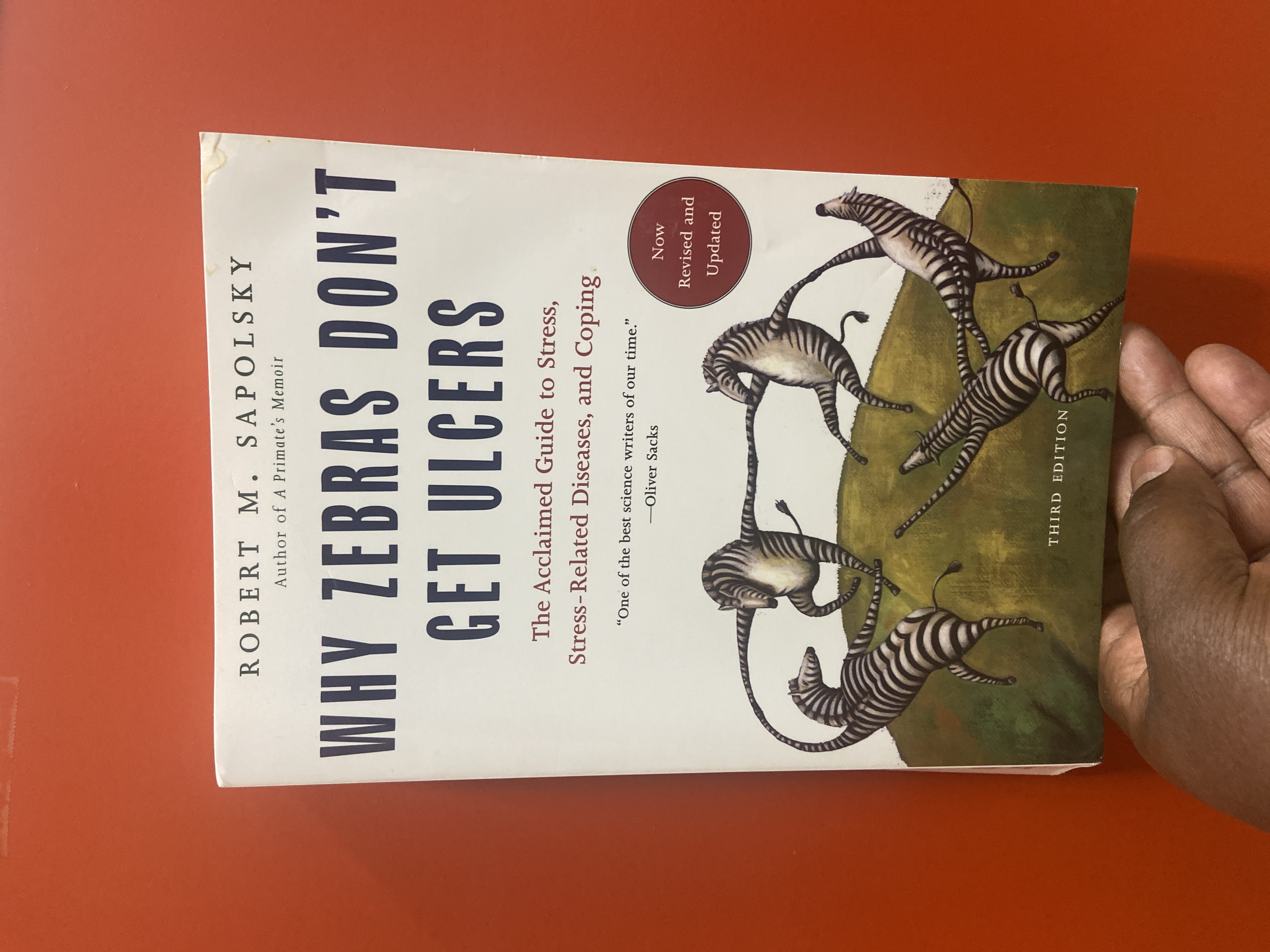 Sale image for 406e87a8-cb8a-4603-91f2-5a67a59a89cd-IwnpjPdVrJb7DemhK6WDr3vZcnJ3