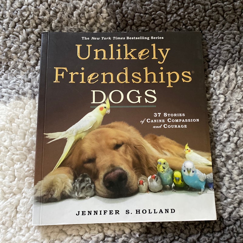 Unlikely Friendships: Dogs