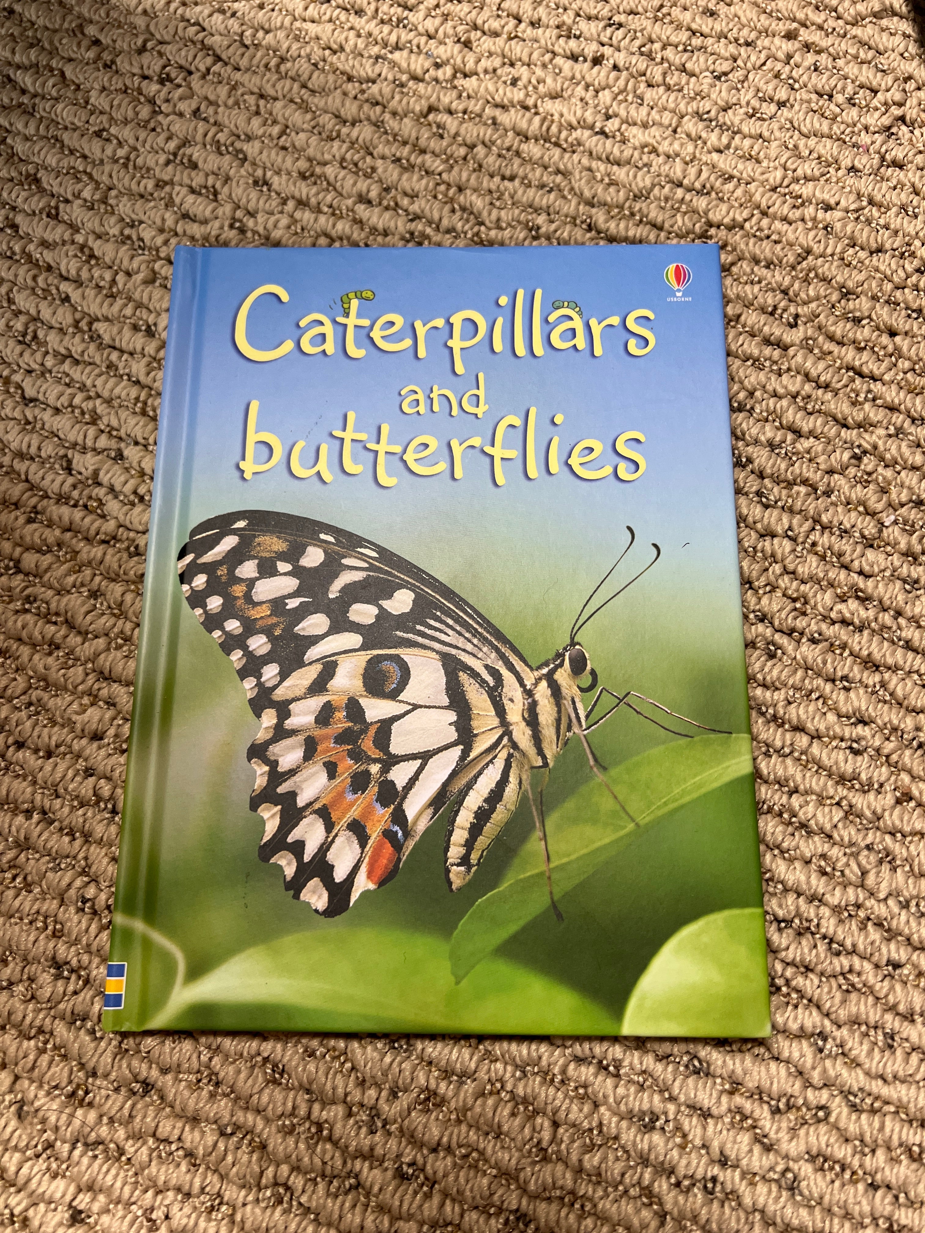 Caterpillars and Butterflies