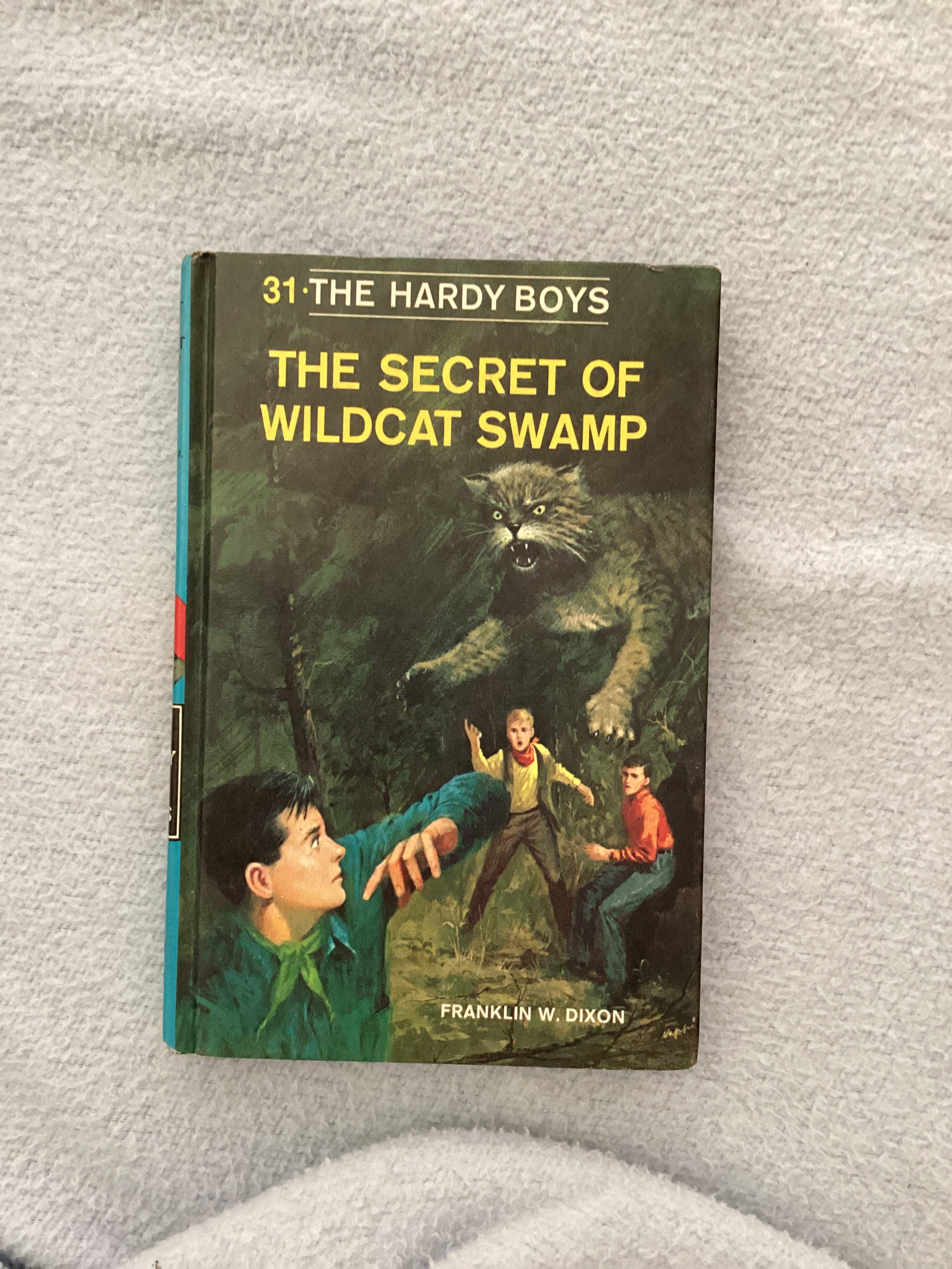 Hardy Boys 31: the Secret of Wildcat Swamp