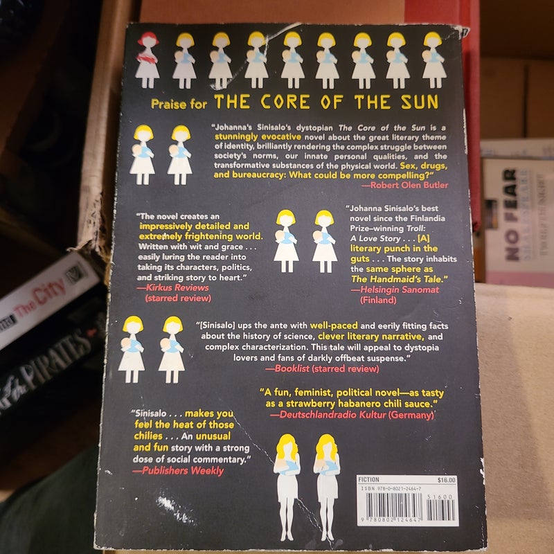 The Core of the Sun