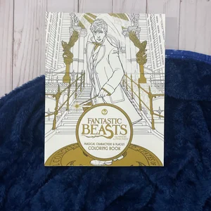 Fantastic Beasts and Where to Find Them