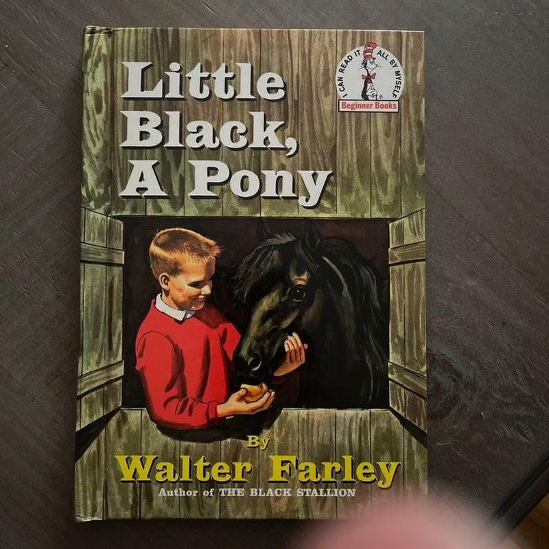 Little Black, a Pony