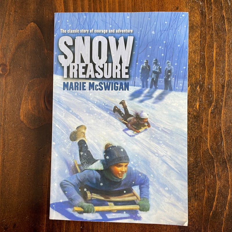 Snow Treasure