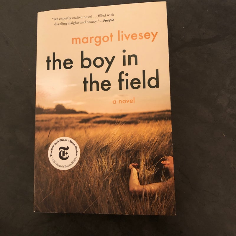 The Boy in the Field