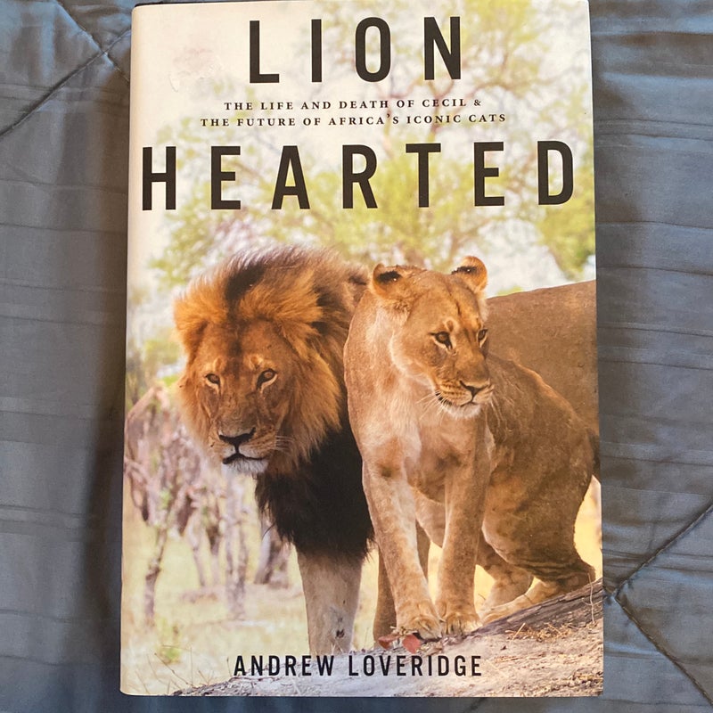 Lion Hearted