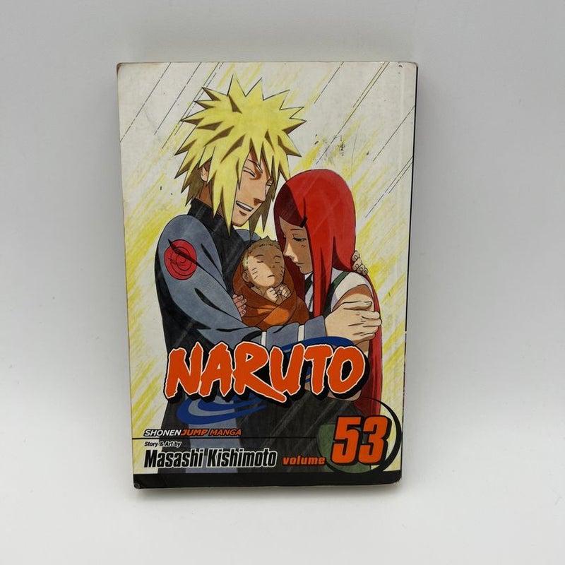 Naruto, Vol. 53