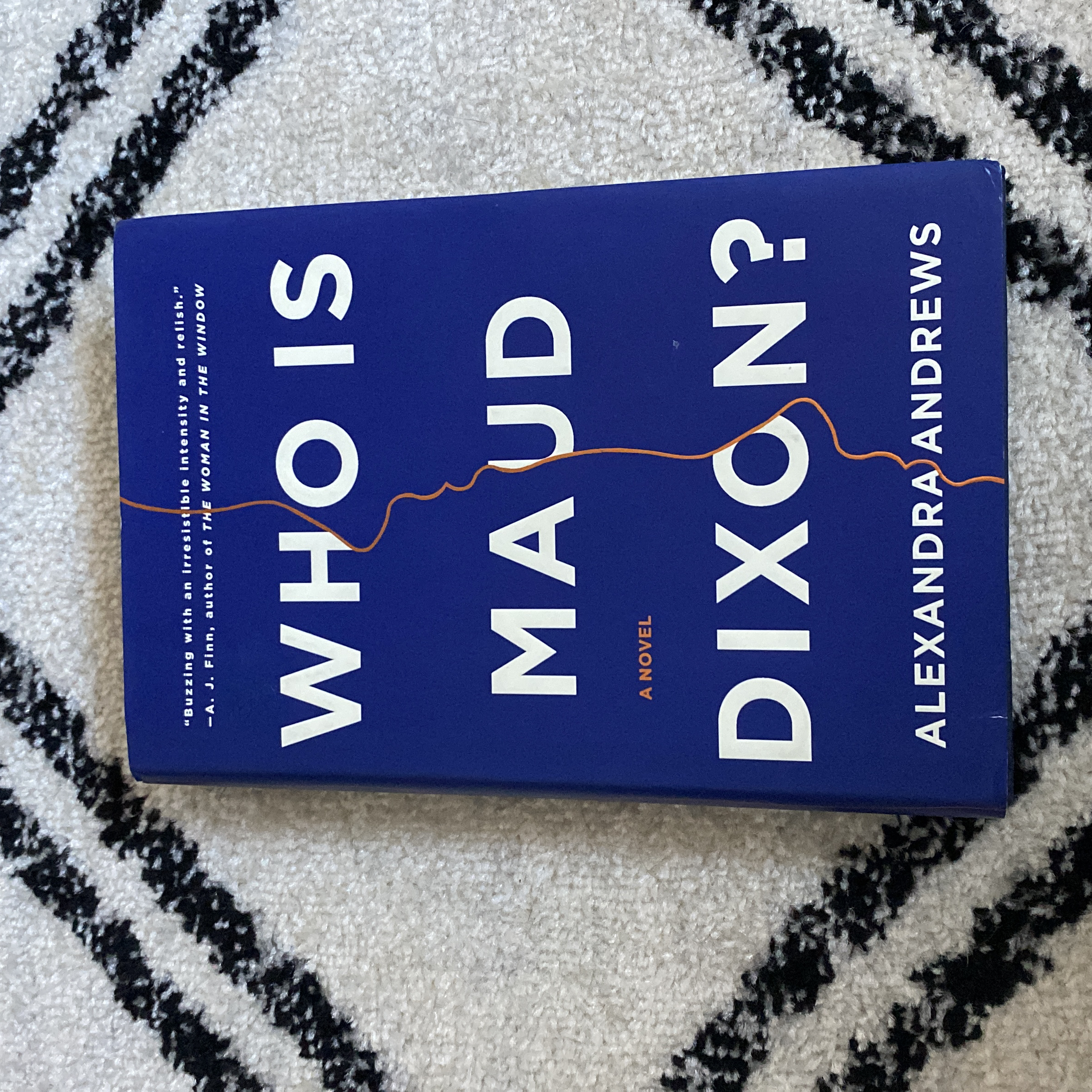 Who Is Maud Dixon? book cover