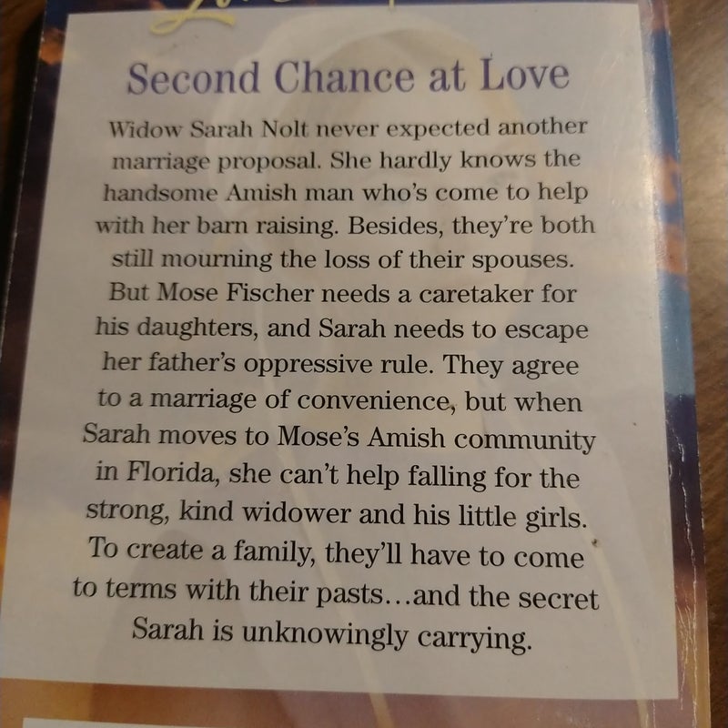 The Amish Widow's Secret