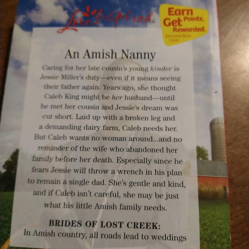 Second Chance Amish Bride