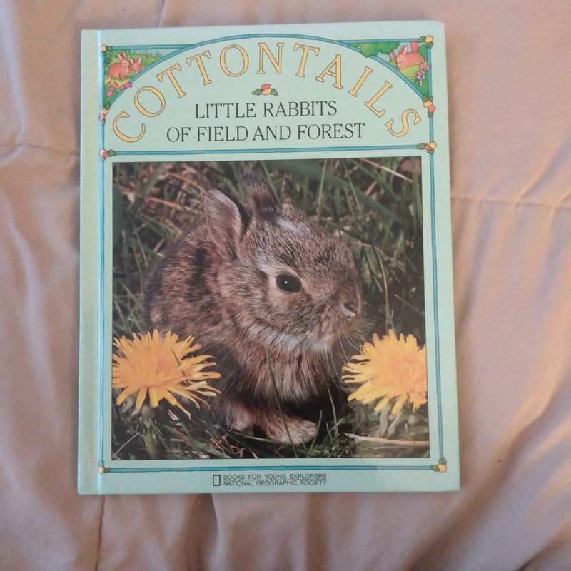 Cottontails: Little Rabbits of Field and Forest