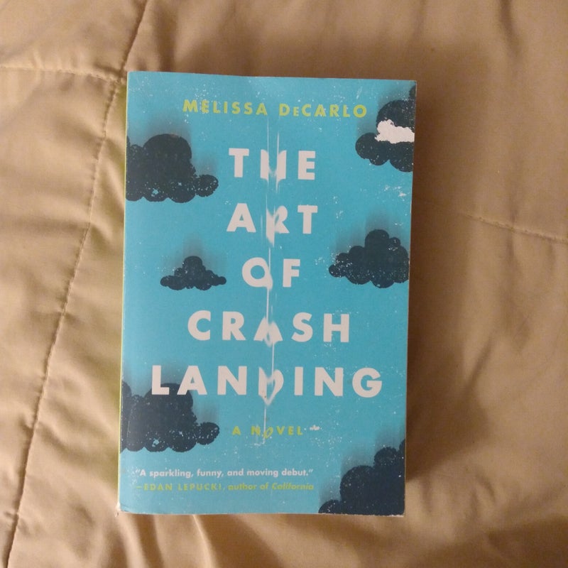 The Art of Crash Landing 