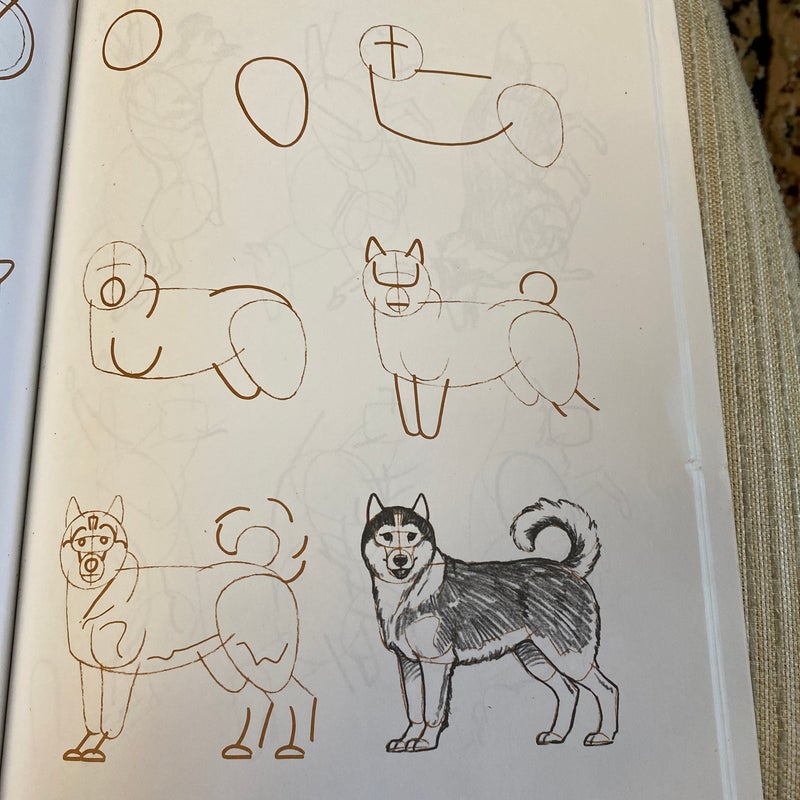 Draw 50 Dogs