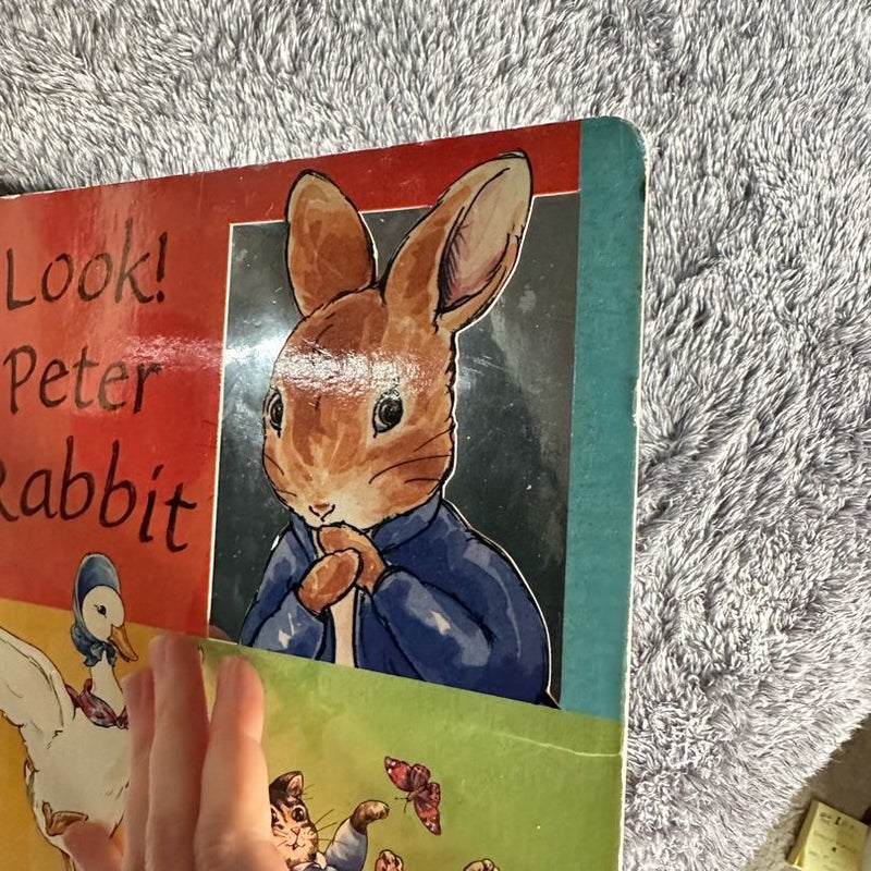 Look! Peter Rabbit