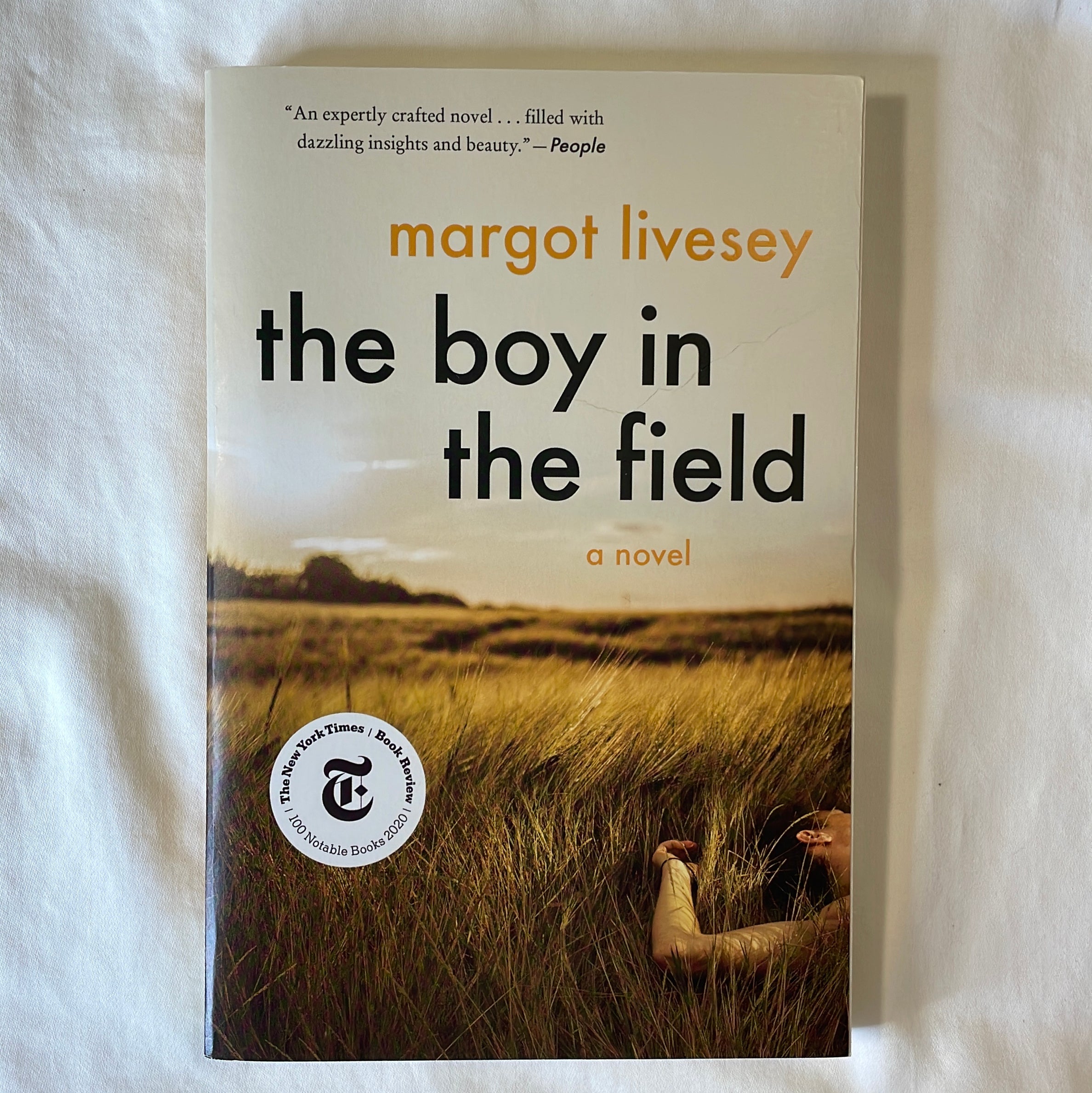 The Boy in the Field