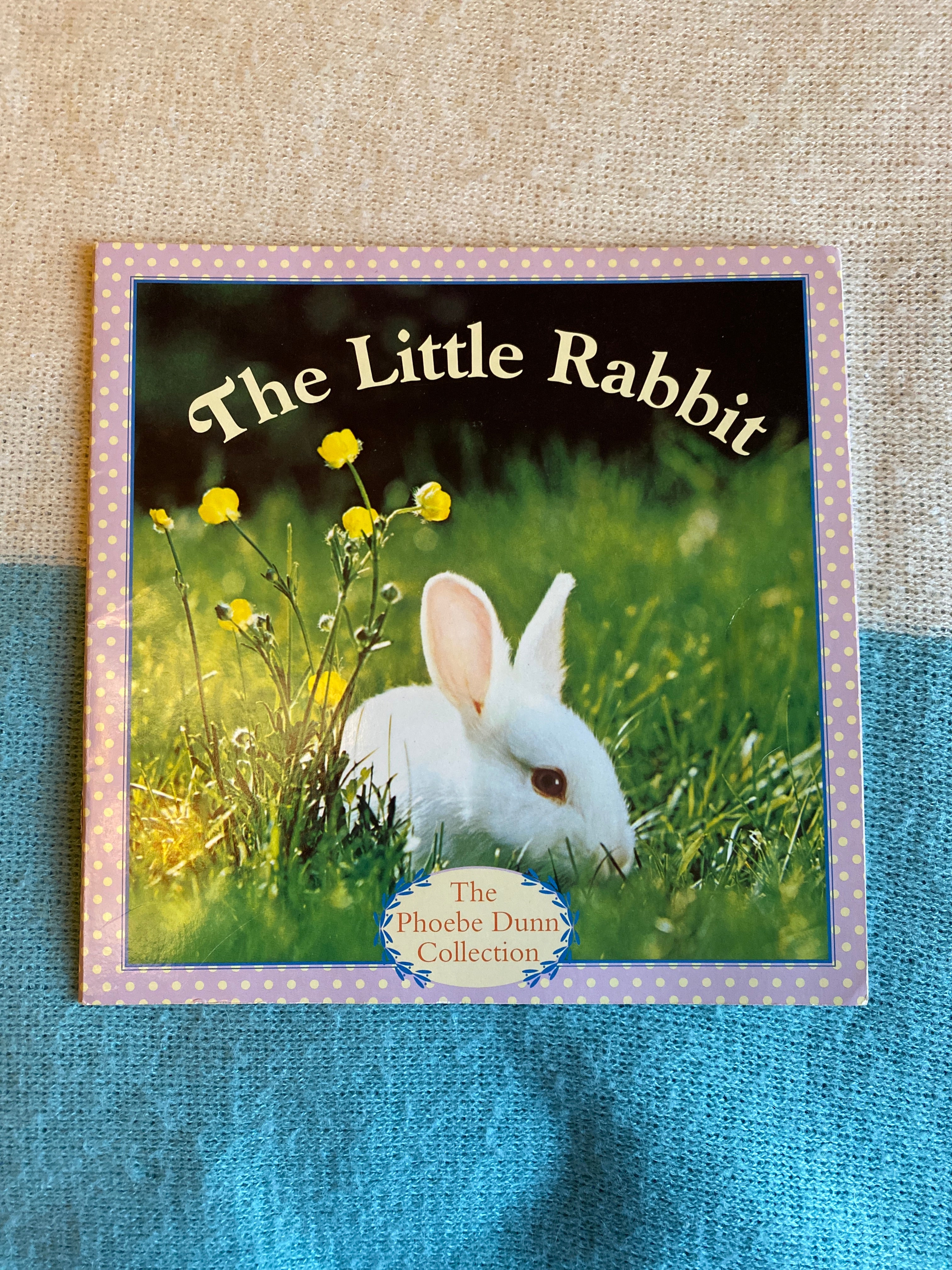 The Little Rabbit